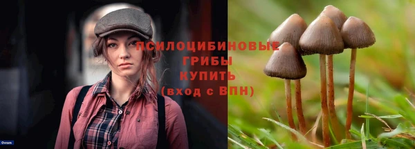 тгк Нязепетровск