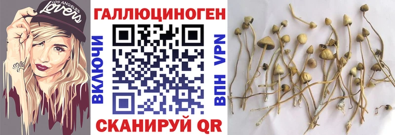 Галлюциногенные грибы Psilocybine cubensis  цены наркотик  Остров 